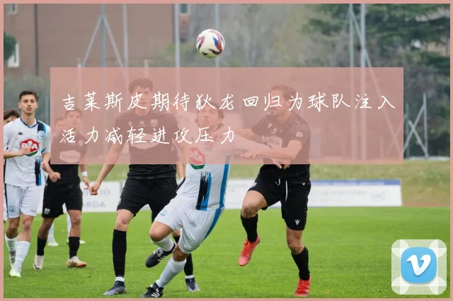 吉莱斯皮期待狄龙回归为球队注入活力减轻进攻压力