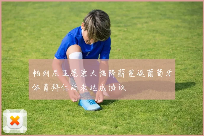 帕利尼亚愿意大幅降薪重返葡萄牙体育拜仁尚未达成协议