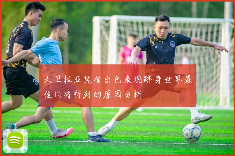 大卫拉亚凭借出色表现跻身世界最佳门将行列的原因分析